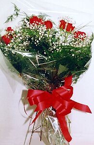 Dozen Long Stem wrapped roses w/babies breath